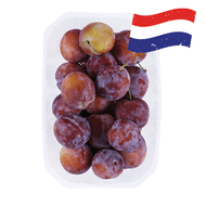 Hollandse Pruimen