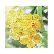 Diamond Painting Wenskaart
