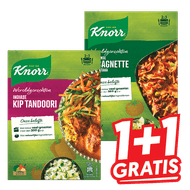 Knorr Wereldgerechten of Maaltijdmixen