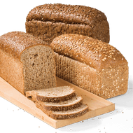 Hollander of Tarpan Brood