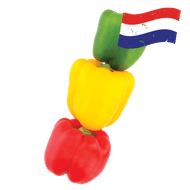 Hollandse Paprikamix