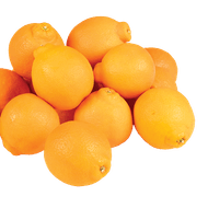 Minneola's