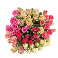 Rozen
