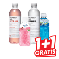 Mogu Mogu of Vitaminwell