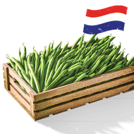 Hollandse Sperziebonen