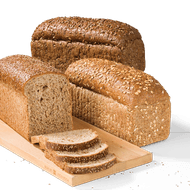 Hollander of Tarpan Brood
