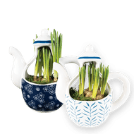 Arrangement Theepot Met Blauwe Druif