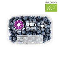 Bio Blauwe Bessen