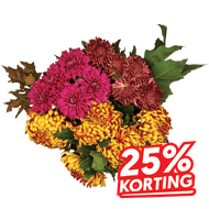 Chrysanten