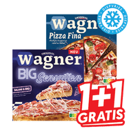 Wagner Big Sensation of Fina
