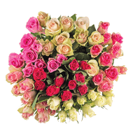 Rozen