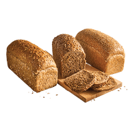 Hollander of Tarpan Brood
