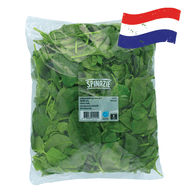 Hollandse Spinazie