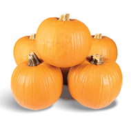 Halloween Pompoen