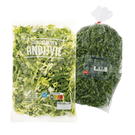 Andijvie of Hollandse Boerenkool