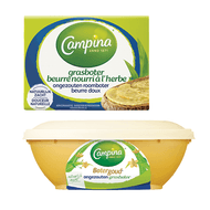 Campina Botergoud