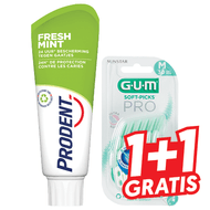 Prodent Tandpasta of Gum Ragers