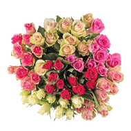 Rozen