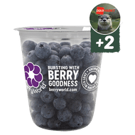 Blauwe Bessen Shaker