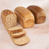 DekaVers Hollander of Tarpan Brood