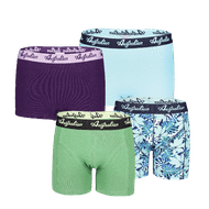 Australian Topline Boxer