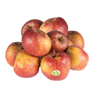 Hollandse Goudreinet Appelen