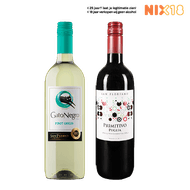 Gato Negro of San Floriano