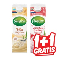 Campina Vla