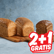 Dekavers Hollander of Tarpan Brood