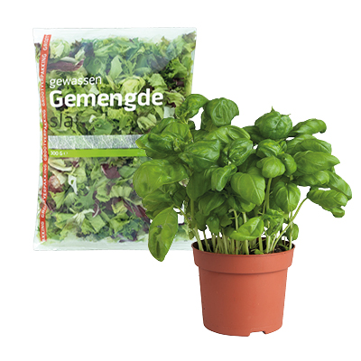 Sla & verse kruiden afdeling